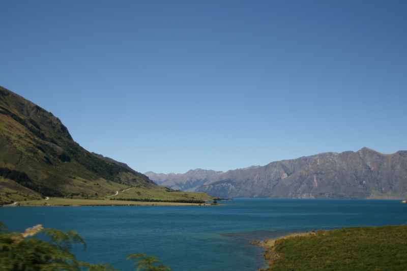 Nieuw-Zeeland 2011 - 1592